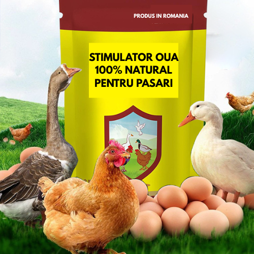 Stimulator Ouare Pasari