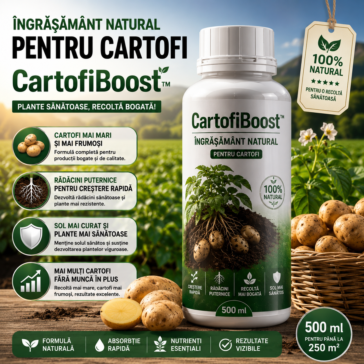 Îngrășământ Natural Pentru Cartofi – CartofiBoost™