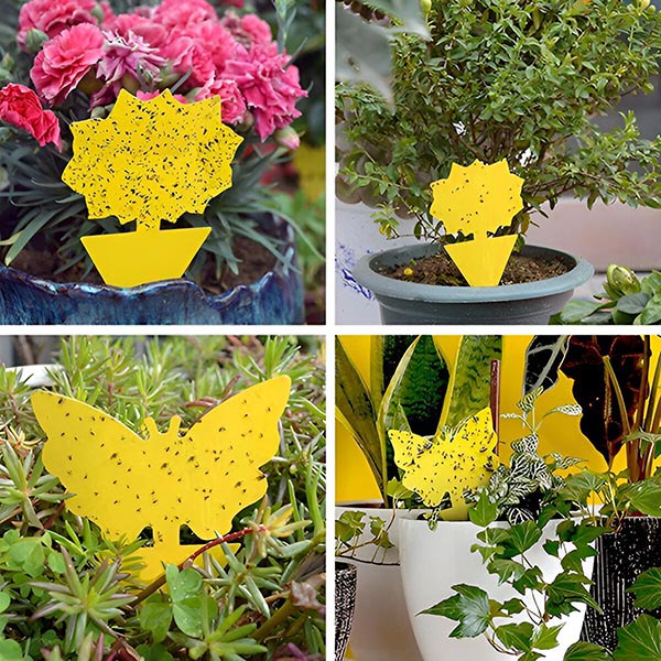 Capcana pentru Insecte PlantProtect™