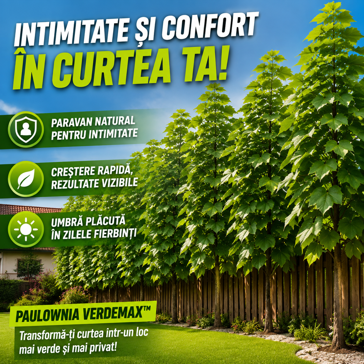 Semințe De Paulownia VerdeMax™