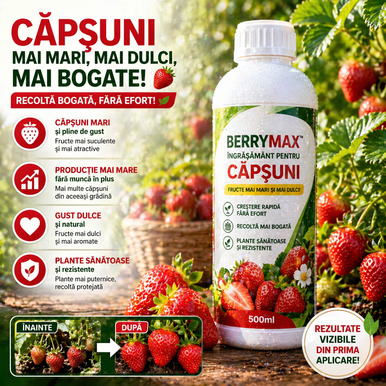 Îngrășământ Natural Pentru Căpșuni- BerryMax™