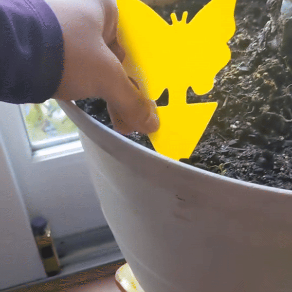 Capcana pentru Insecte PlantProtect™
